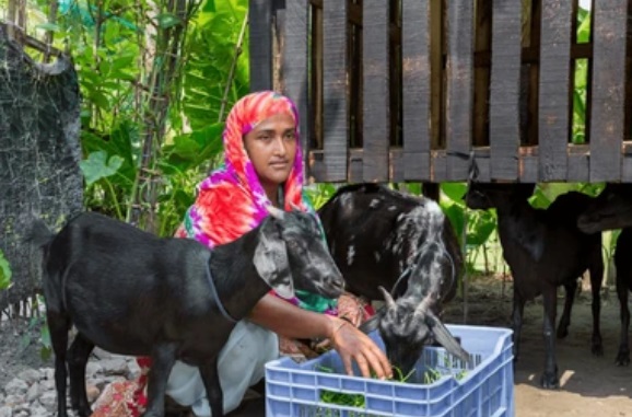 Goat Farming for Women’s Independence