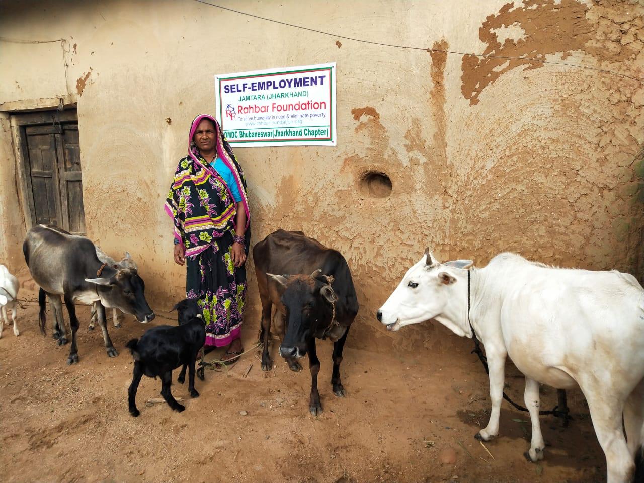 Women's Economic Independence