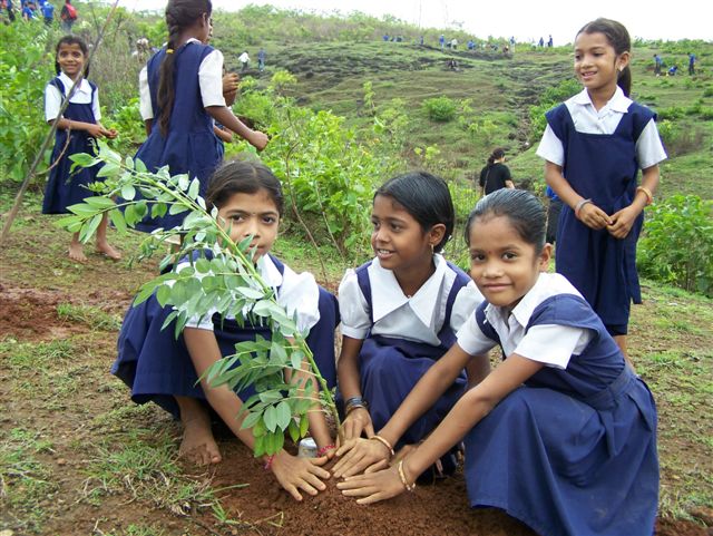 Environmental Guardianship