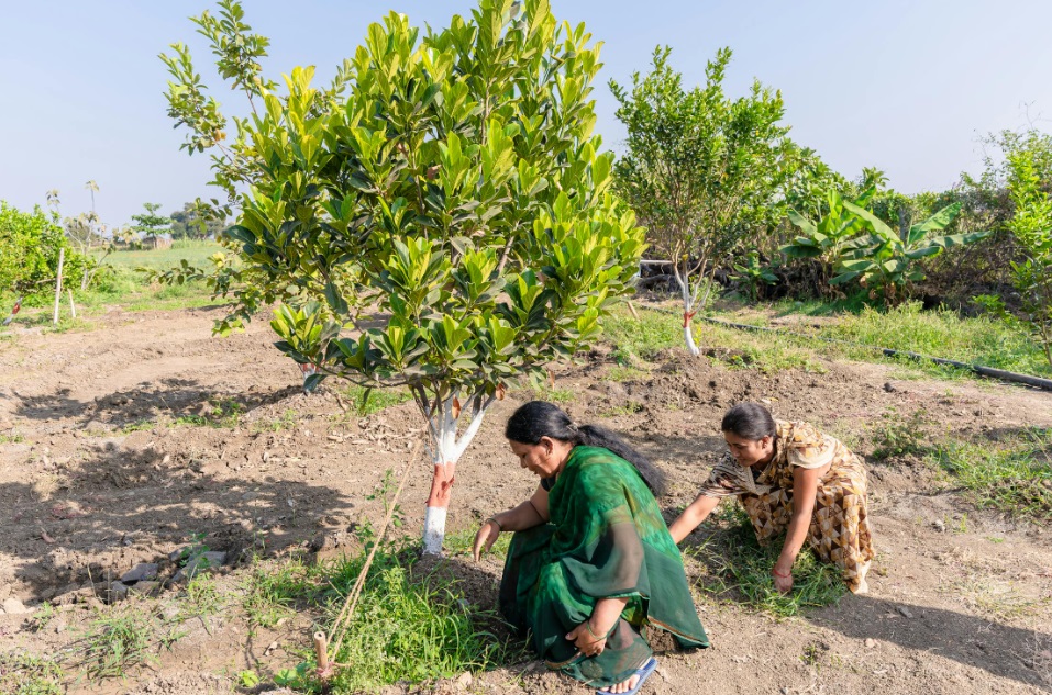 Sustainable practices